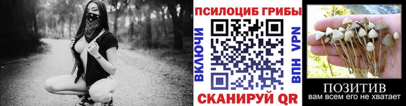Галлюциногенные грибы ЛСД  Усть-Катав 
